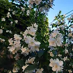 Les Hauts De Scy 公寓 *