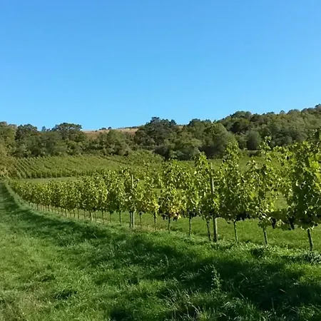 Les Hauts De Scy *