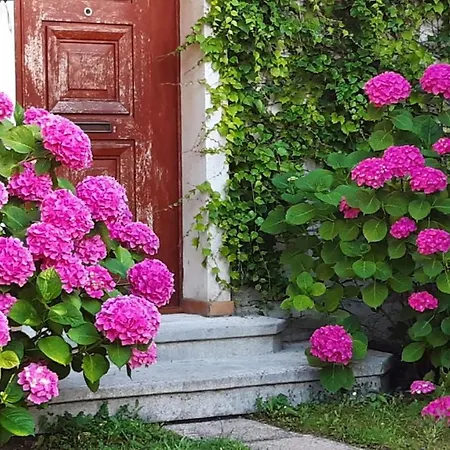 Appartement Les Hauts De Scy
