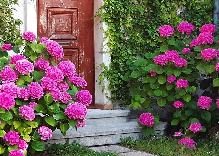 Appartement Les Hauts De Scy